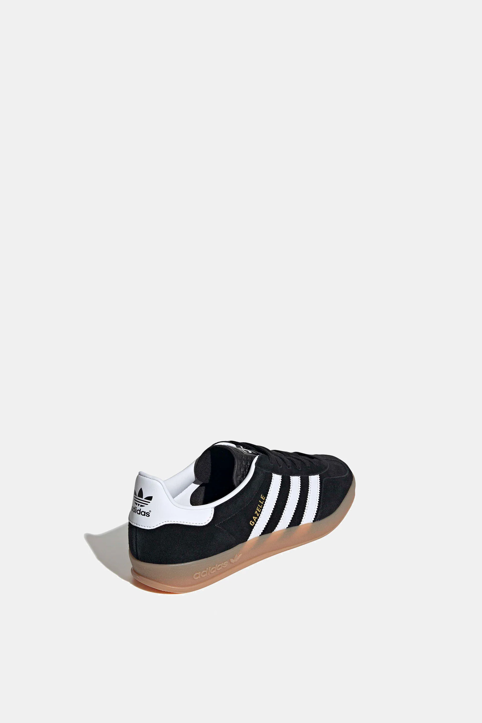 Gazelle Indoor - Image 3