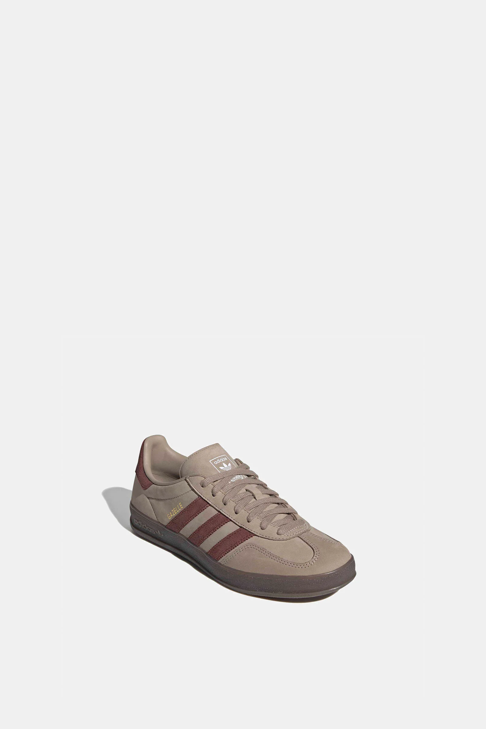 Gazelle Indoor - Image 2
